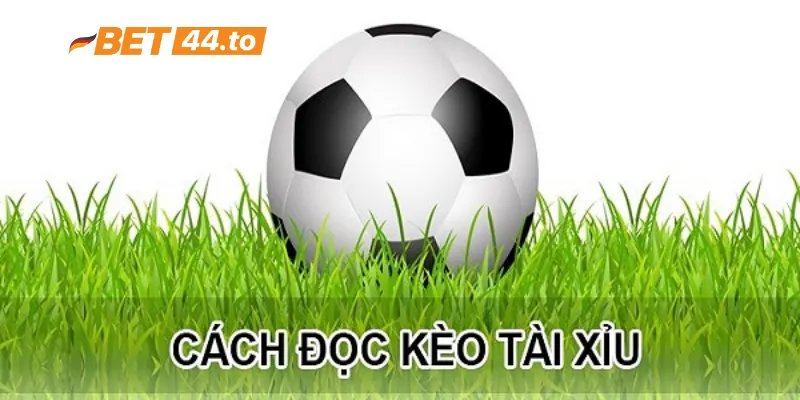 Chi tiết cách đọc kèo